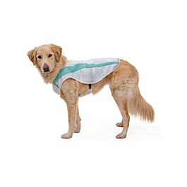 Ruffwear Swamp Dog Cooling Vest Petcetera