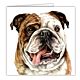 Waggy Dogz Art Card / Greetings Cards - Dogs