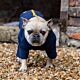 Stix French Bulldog Dog Coat