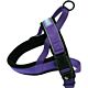 Hem And Boo Reflective Purple Harness